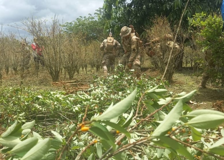 Arce acuerda con cocaleros del Chapare superar metas de erradicación e impulsar otros productos