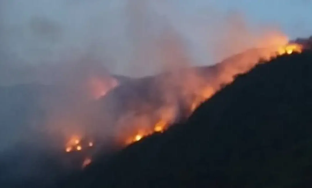 Bomberos confirman que han podido controlar 70 % del incendio forestal de Cotapata