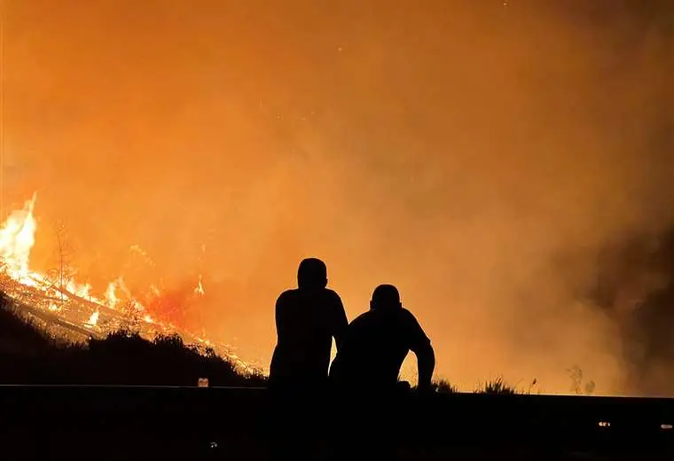 ABT inició 127 procesos a personas que provocaron incendios forestales y buscan endurecer sanciones