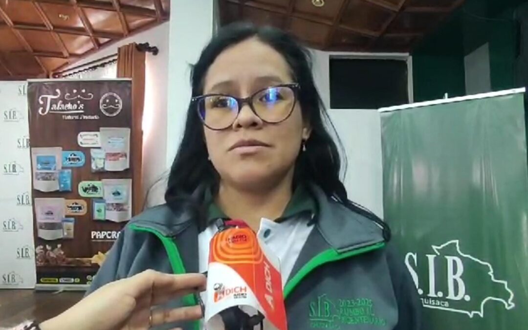 SIB, señala que es viable la construcción de un túnel en el ex Juana Azurduy