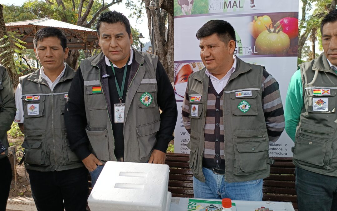Senasag confirma el primer caso de rabia bovina en Chuquisaca